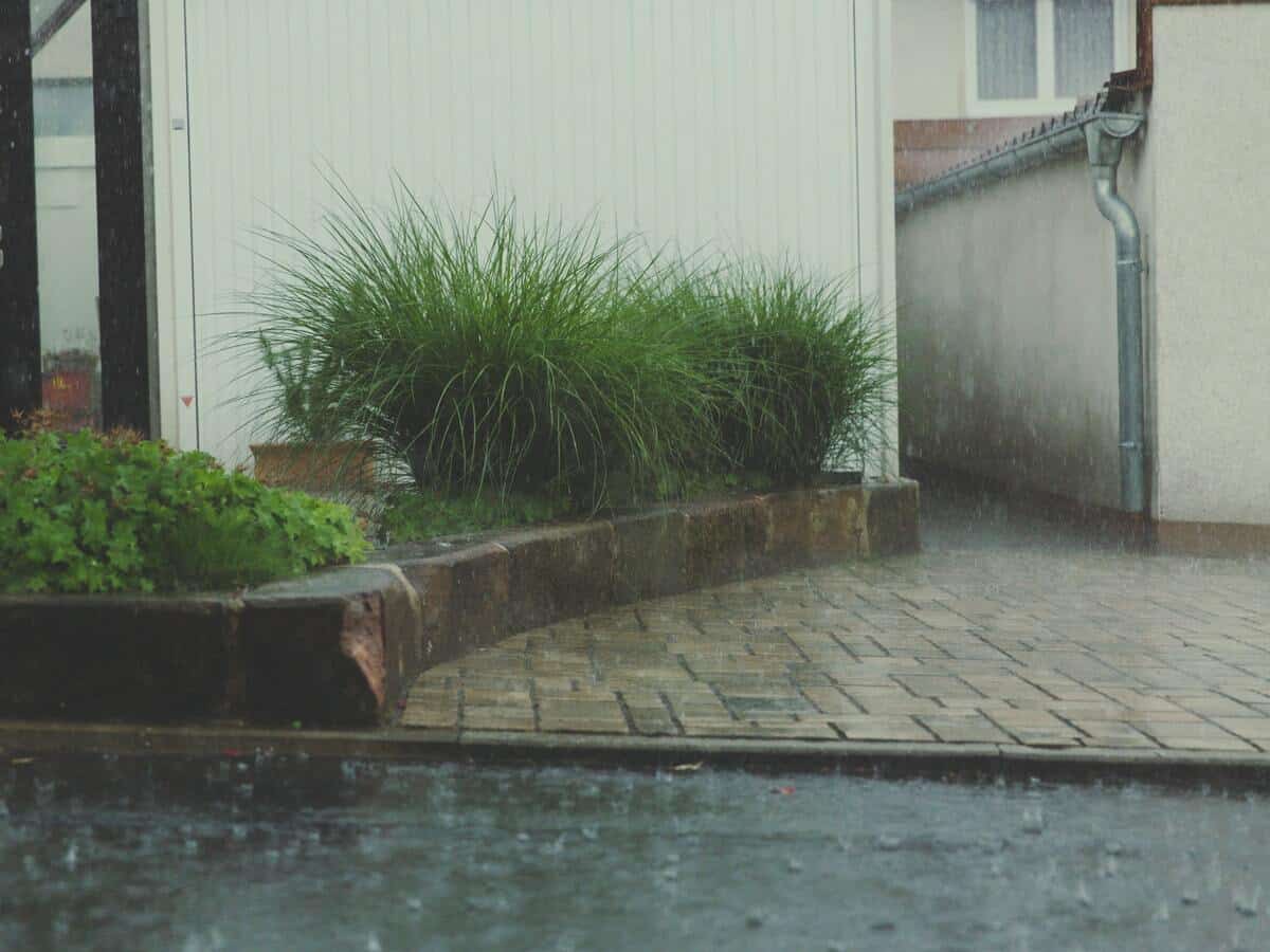 Rainfall outside the front of a home with large plants.