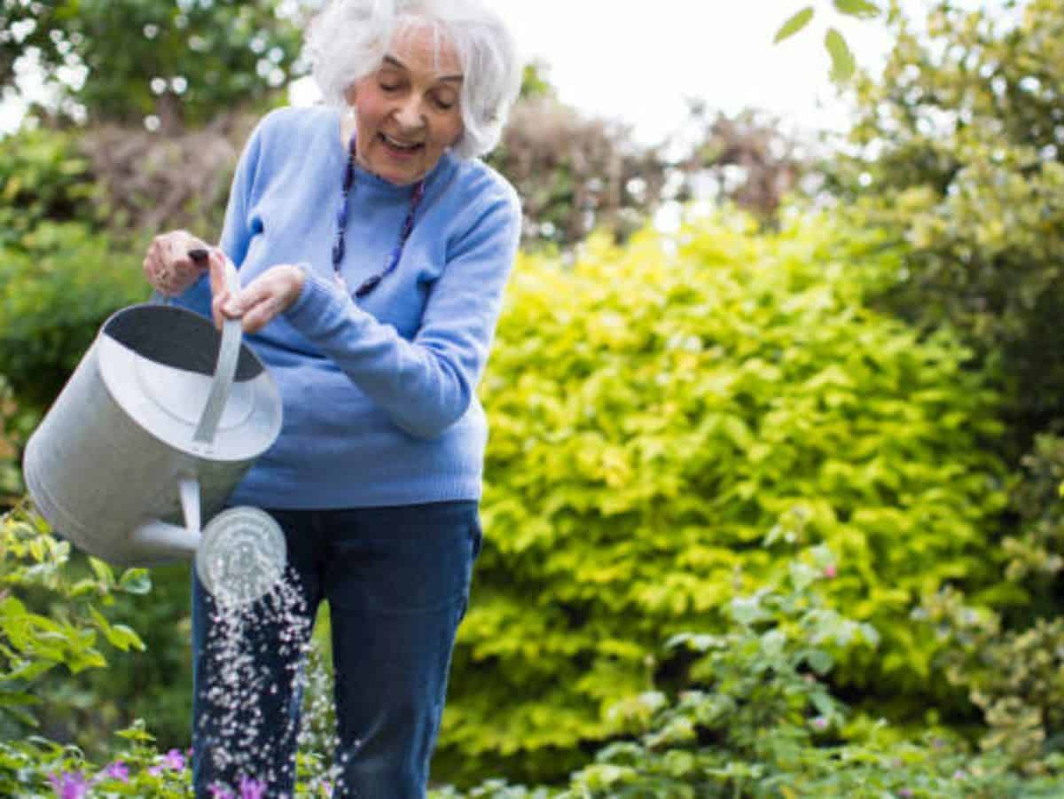 Senior Woman Watering Flowers In Garden