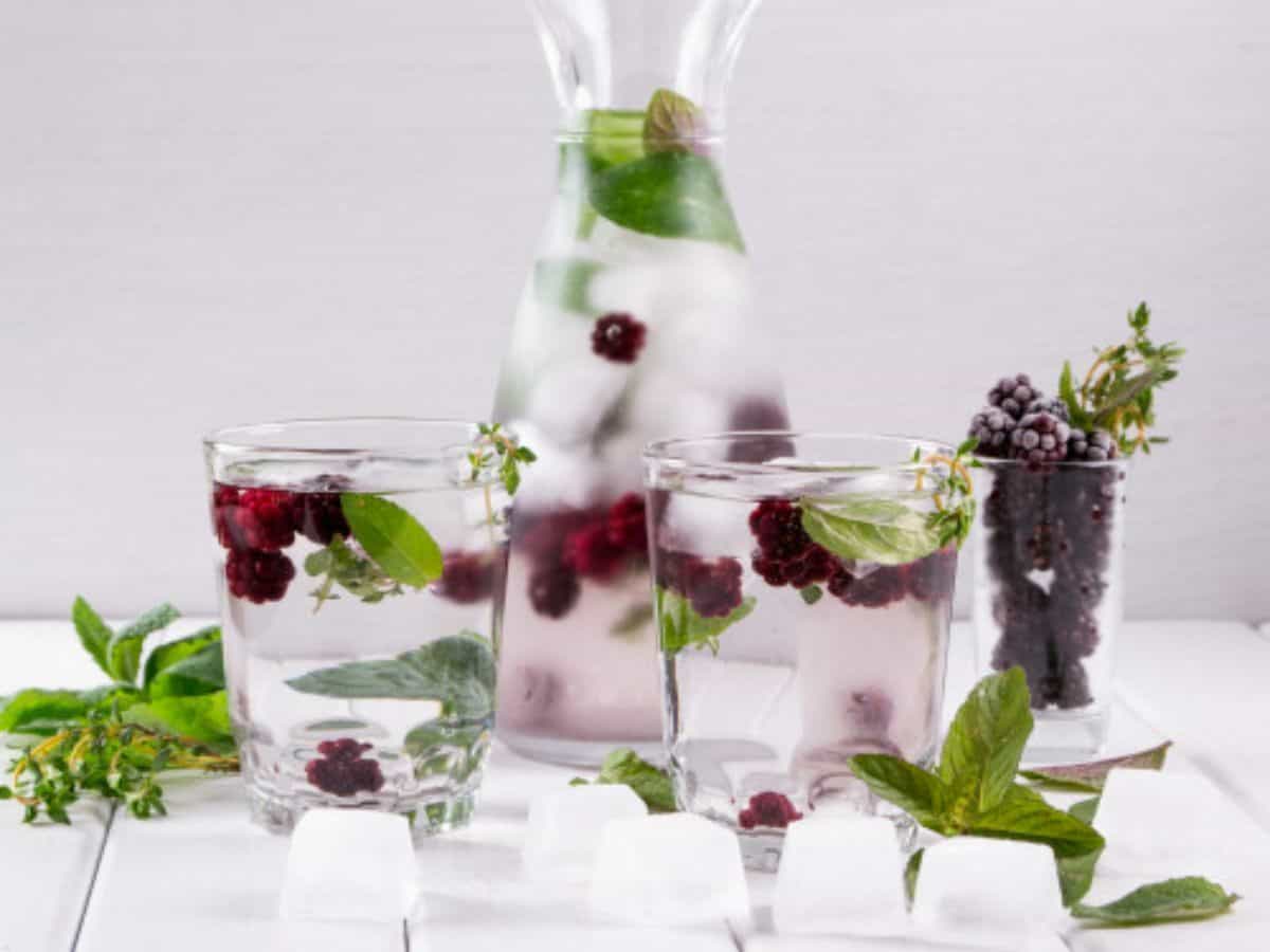 mint infused water with cranberries and mint