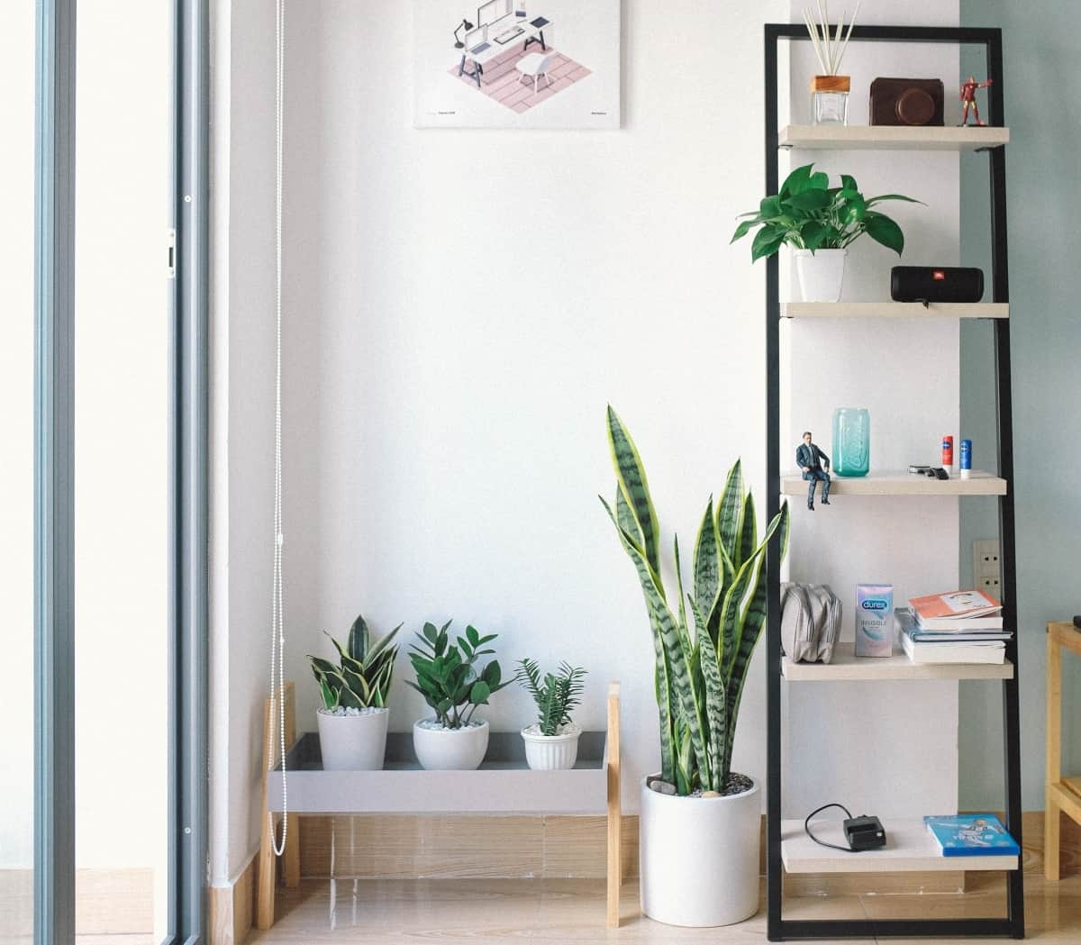 An apartment's house plants sitting next to a modern bookshelf with an assortment of items.