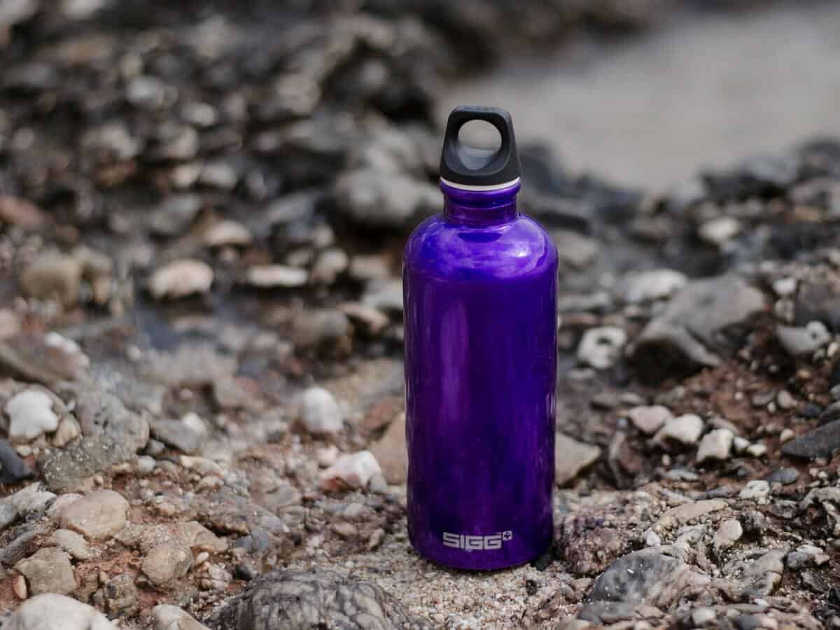 purple water bottle travel