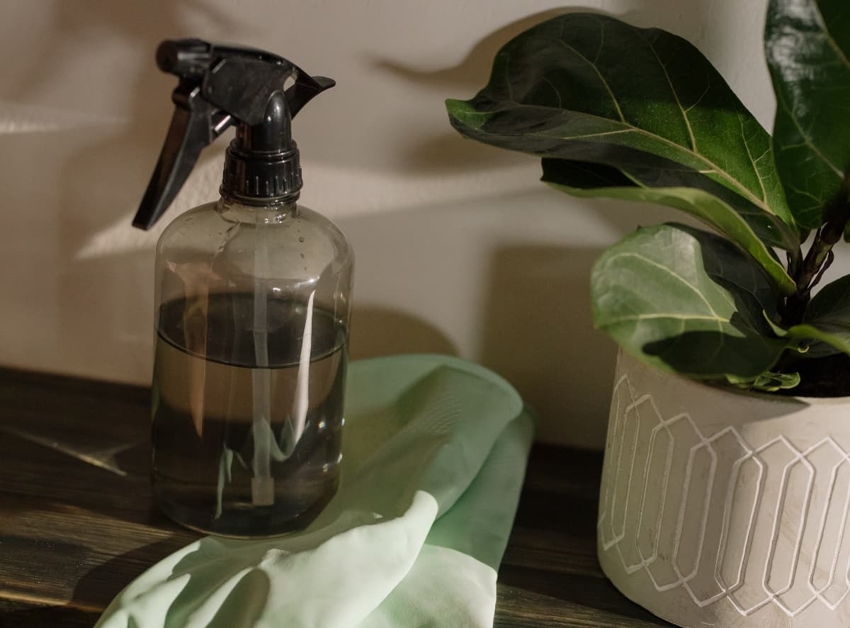 A dark grey spray bottle on top of mint cleaning gloves next to a potted house plant.