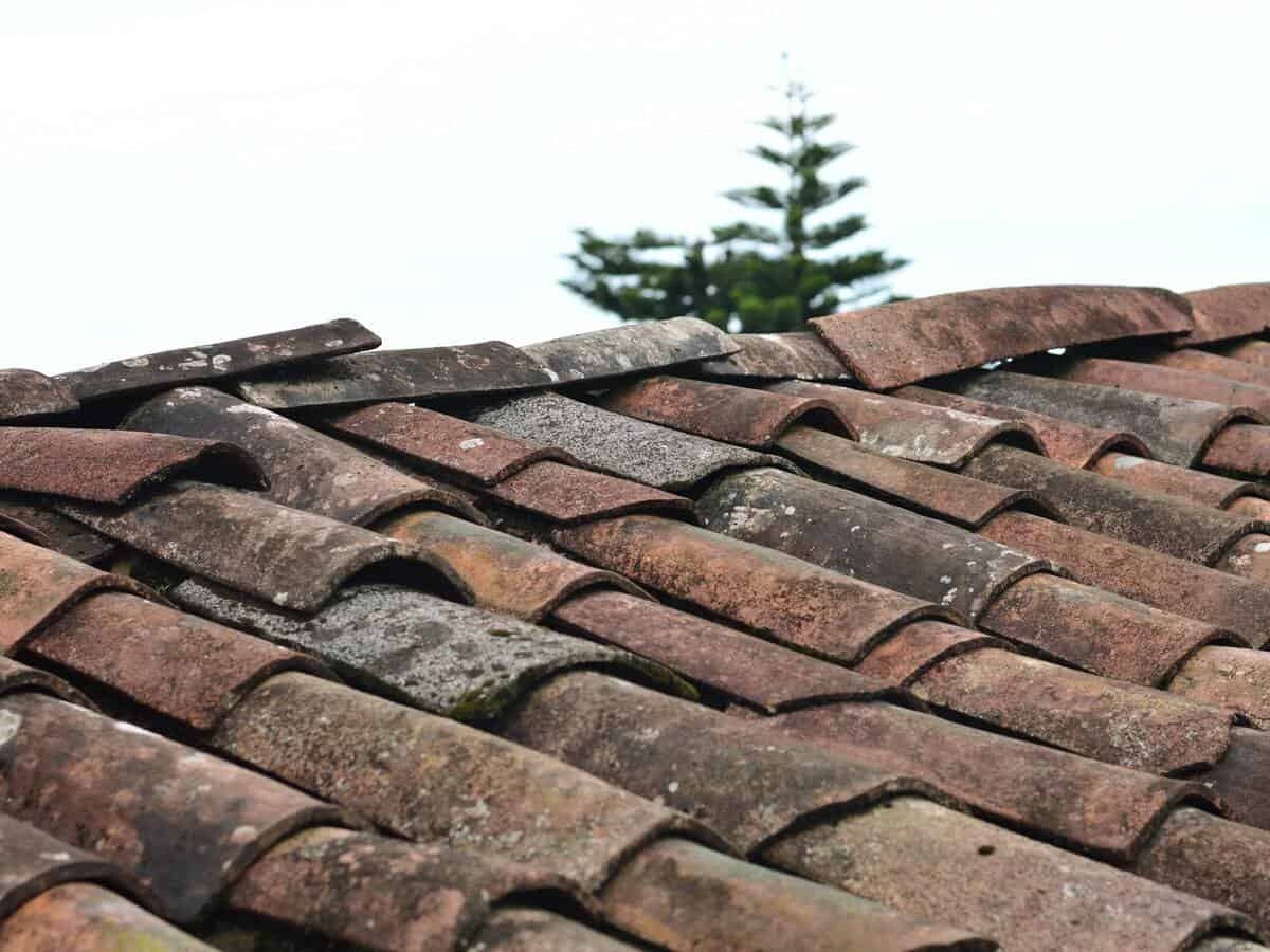 Red clay tiles on a roof.