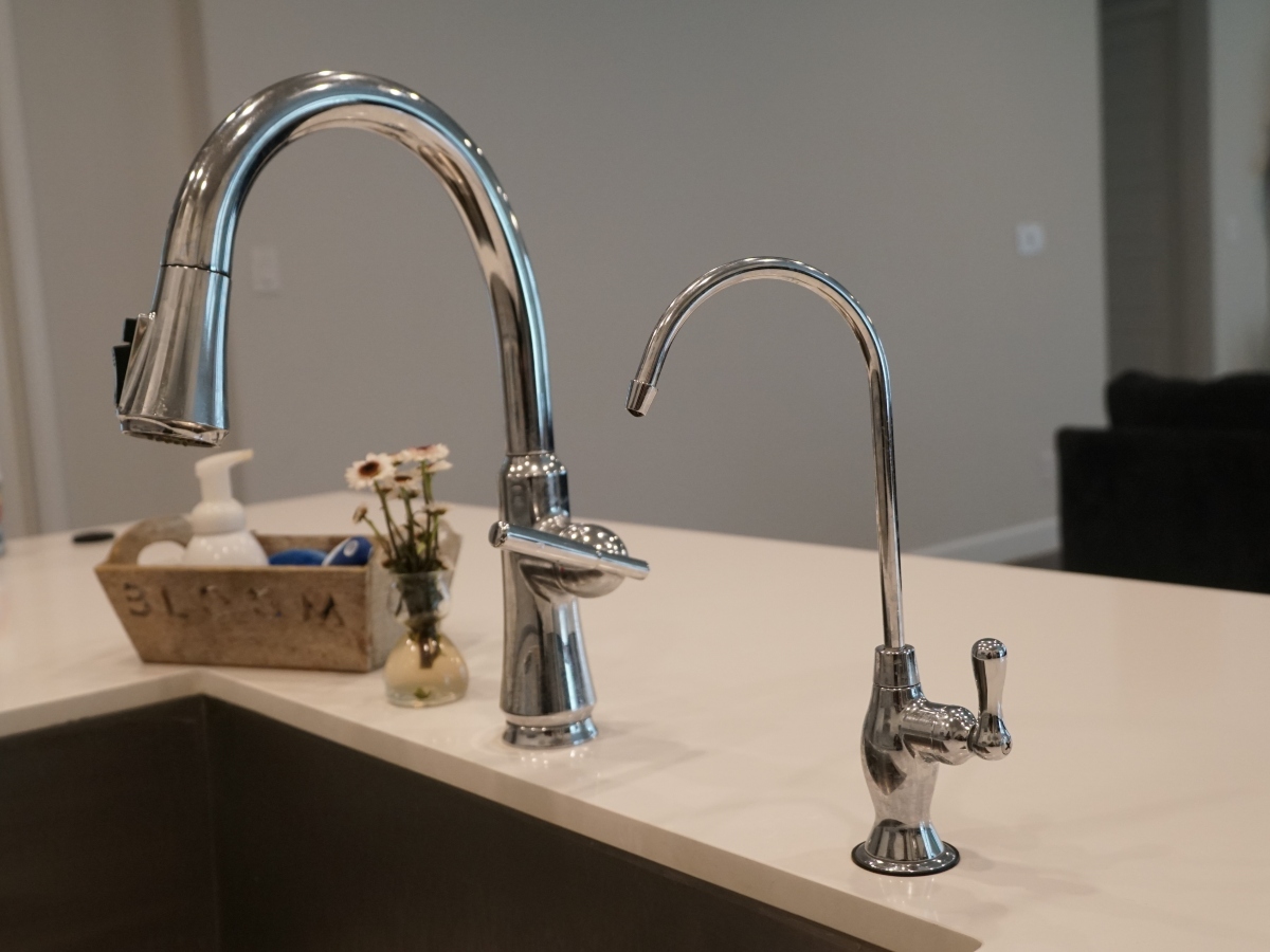 a faucet filter next to a regular kitchen sink faucet