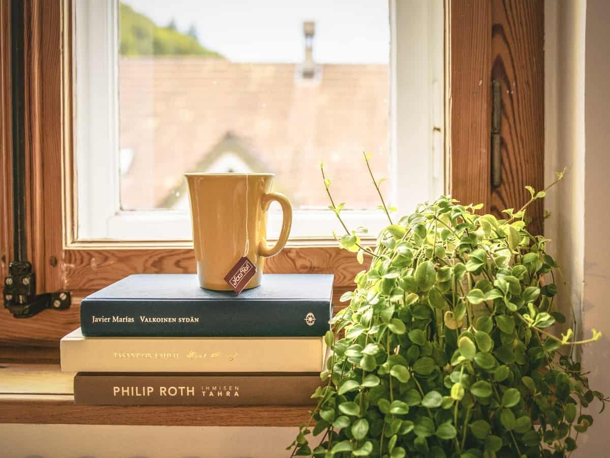 plant by the window with a cup on books