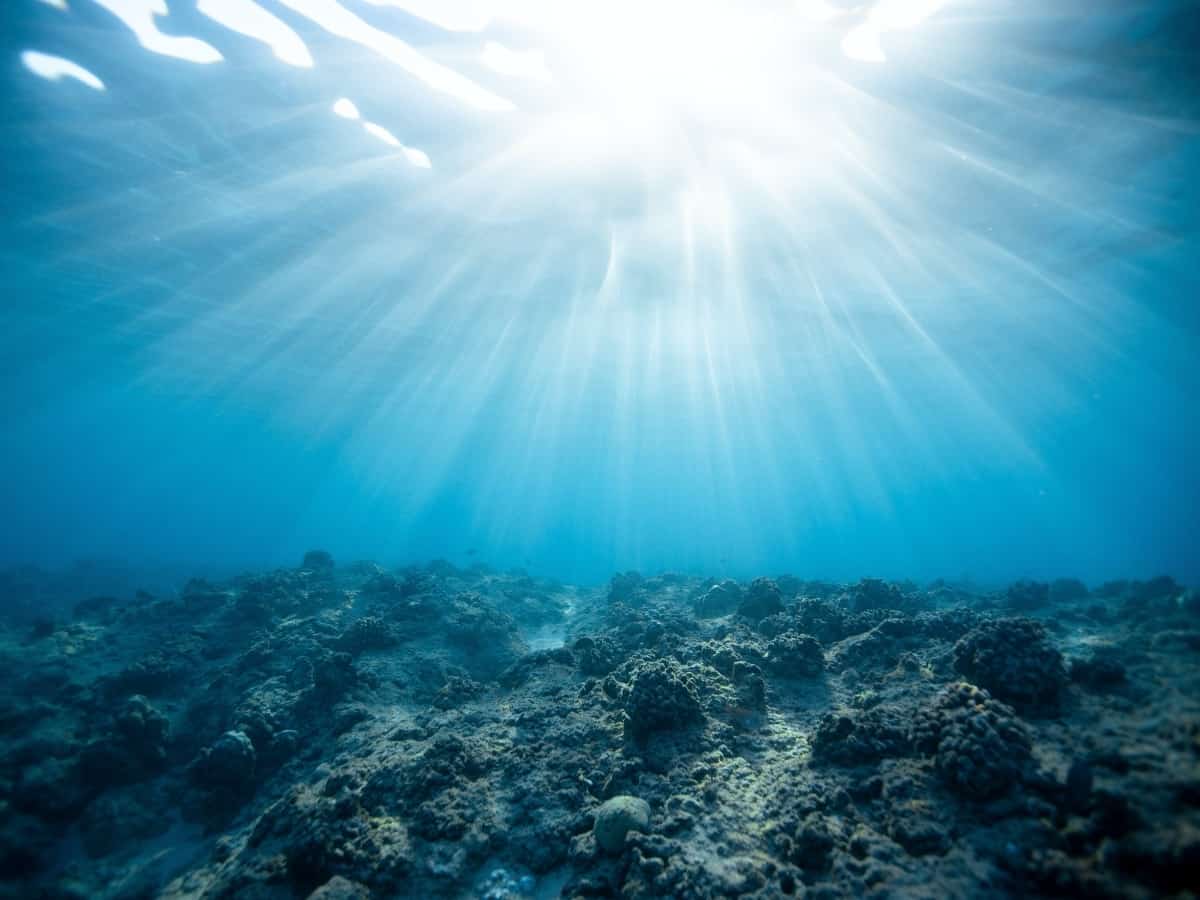 underwater view of salt water