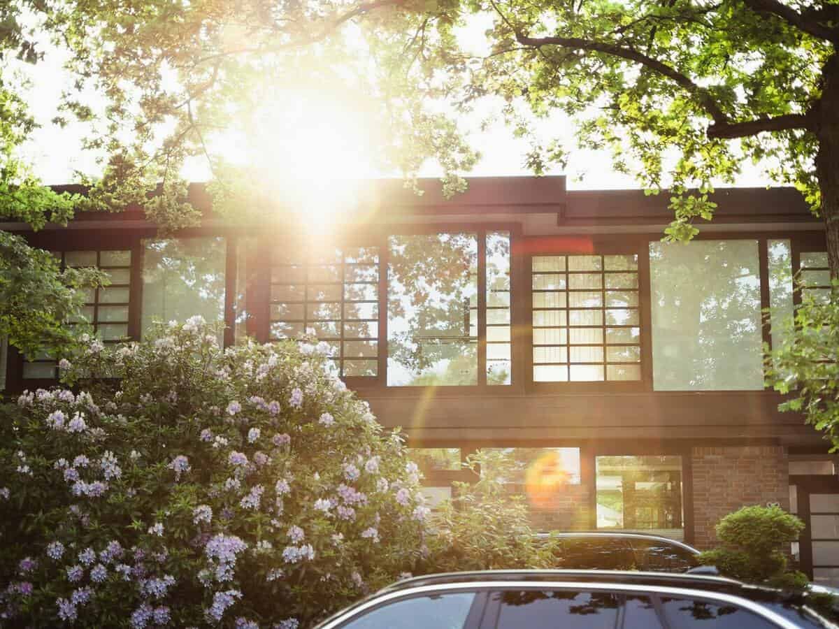 Sunshine is poking through the tree branches outside of a modern home.