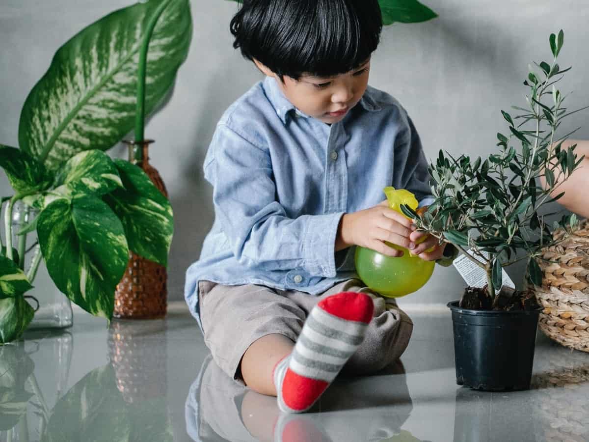 young child watering plants