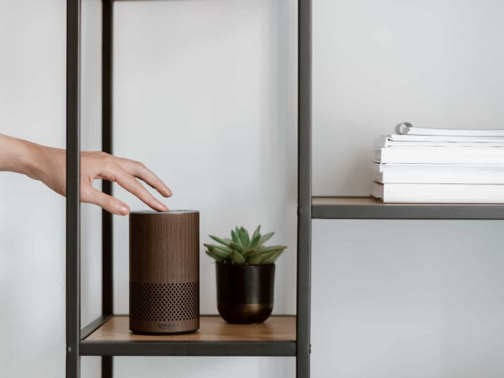 an alexa on a shelf next to a plant