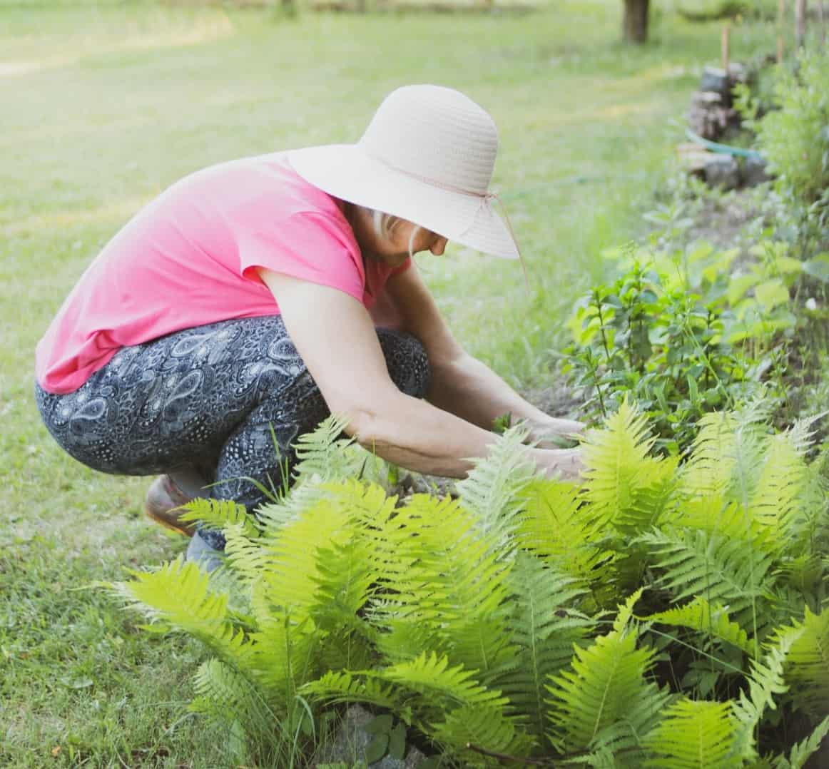 An older woman wearing a gardening hat is tending to her plants outside.