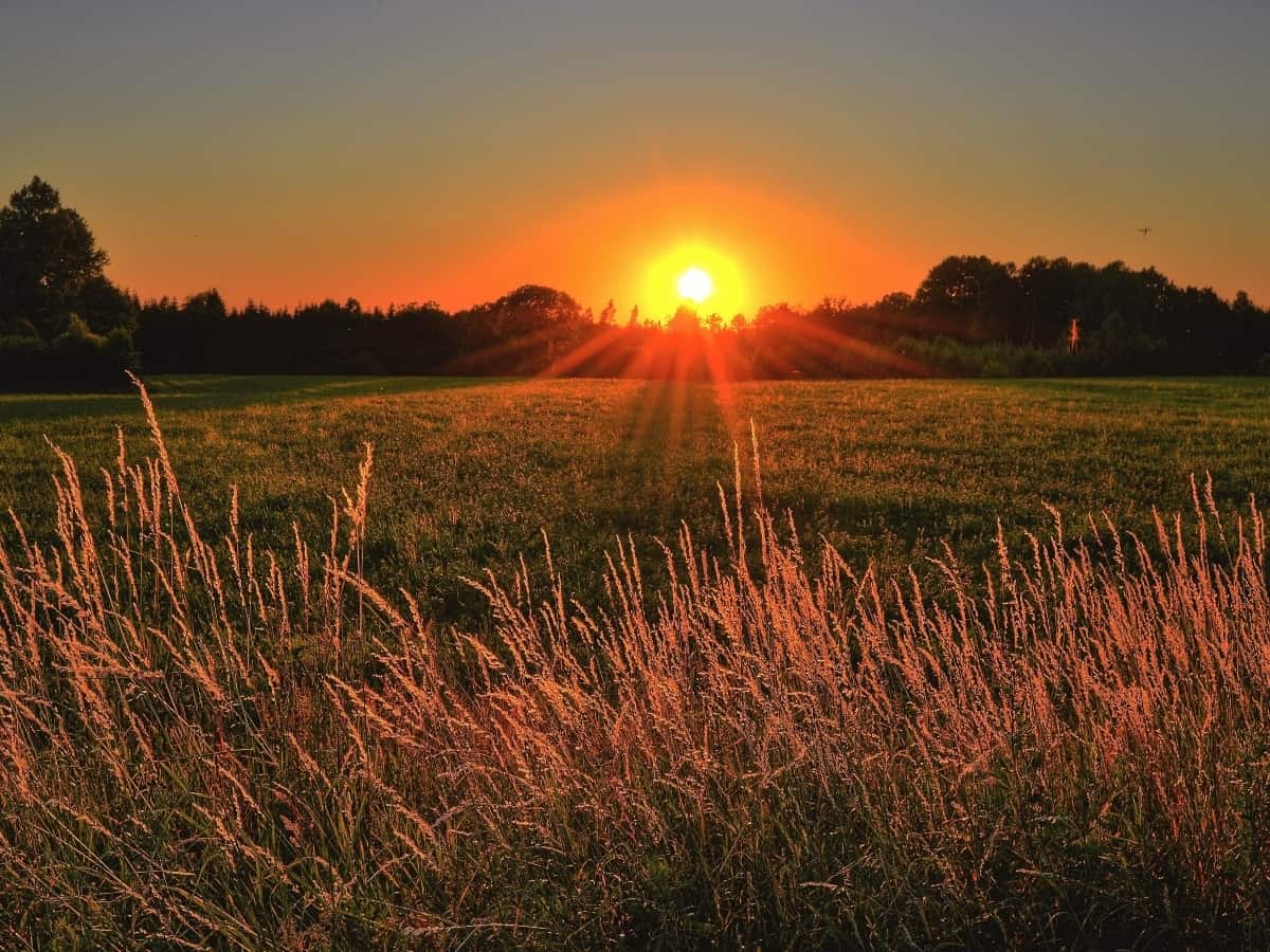 a sunset or a sunrise with in a field
