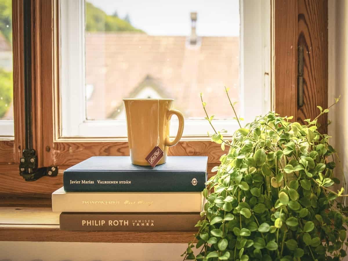 coffee mug on a stack of books by a window