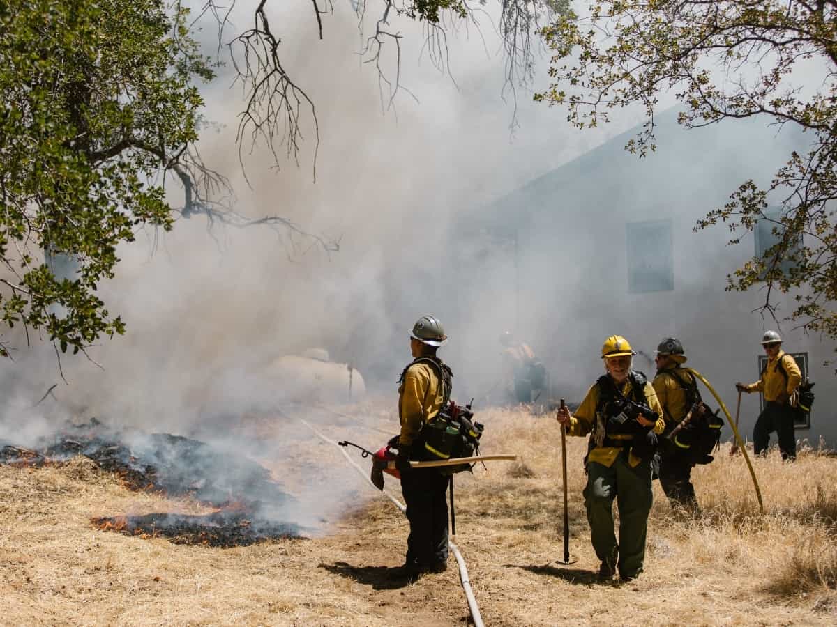 the smoke left behind from a wildfire