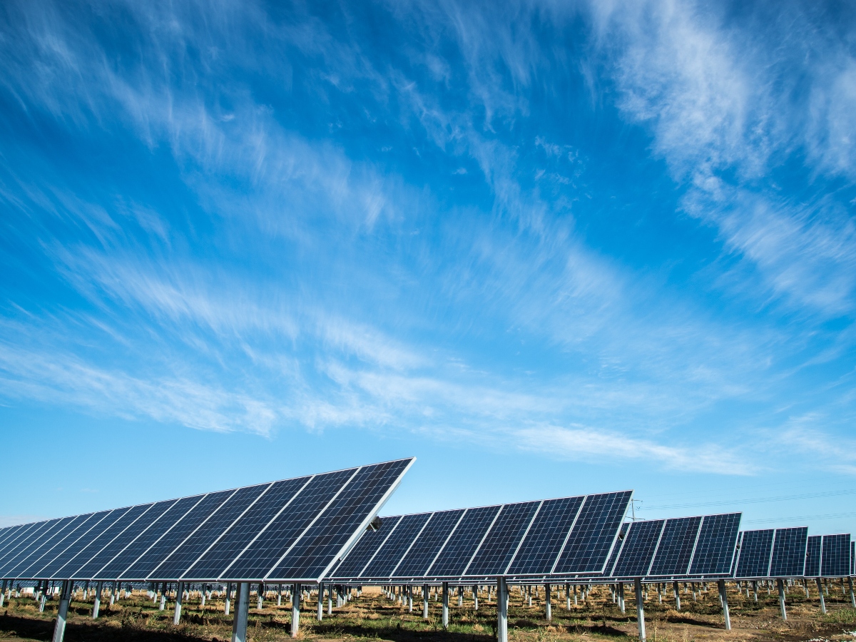 a row of solar panels in a a field