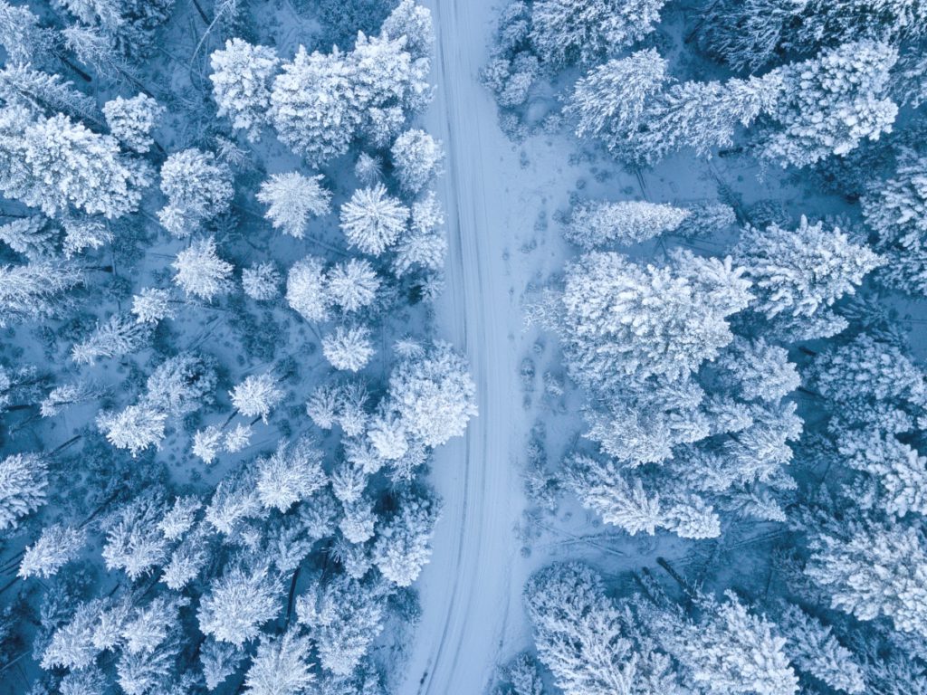 an aerial view of trees in winter