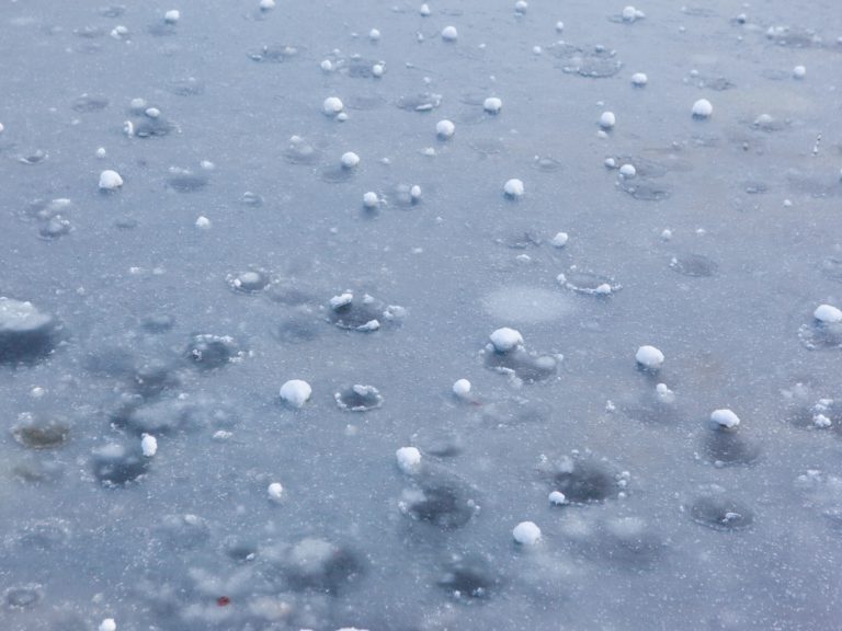 an upclose image of hail after a storm on the ground