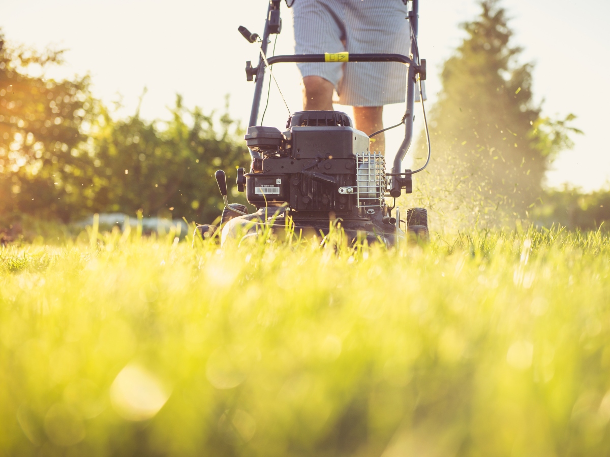 a man in shorts pushing a lawnmower to mow the law during summer