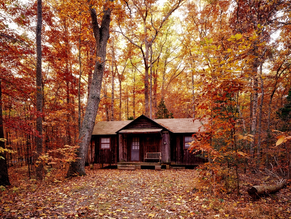 a cabin vacation home in the woods