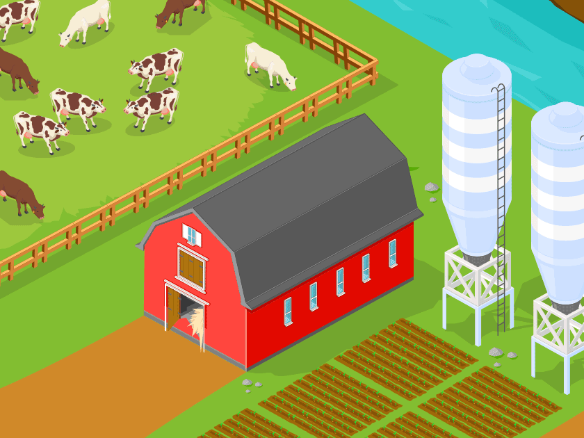 barn and cows