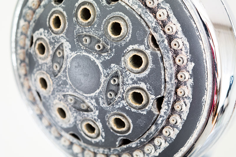 mineral deposits on shower head